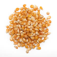 popcorn seeds (Makai ke Danay)