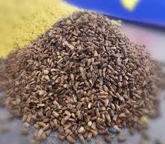 CHICORY SEEDS (Tukhm-E-Khas)